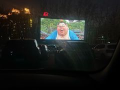 -枫花园汽车电影院(朝阳公园店)