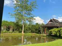 -中国科学院西双版纳热带植物园