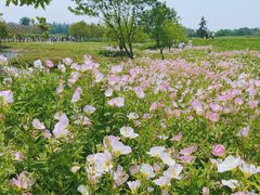 -良渚古城遗址公园