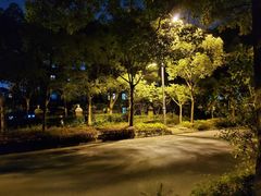 -新江湾城公园