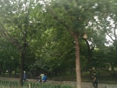 -泓盛花园