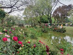 -人民公园(罗湖区)