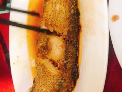 -蛇口康乐快餐鱼仔档(翠苑小区店)