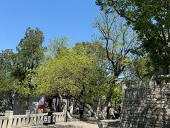 -云龙山