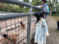 -上海海湾国家森林公园