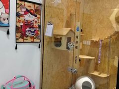 -宠小格时尚宠物生活馆(唐镇店)