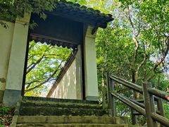 -上海佘山国家森林公园天马山园