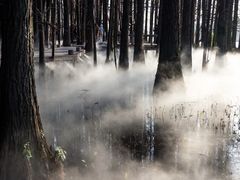 -东湖落雁景区