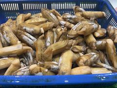 -石浦大酒店(百丈店)