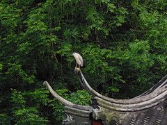 -汇龙潭