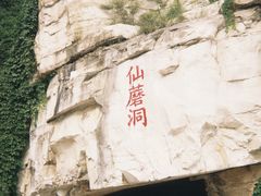 -仙蘑洞