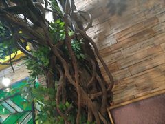 -巴犀烧烤(新崇光店)
