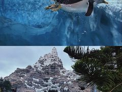 -珠海长隆海洋王国