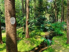 -成都市活水公园