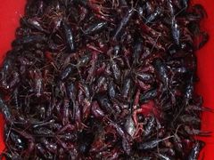 android_upload_pic-阿明烧烤·烤鱼·小龙虾(水清路店)