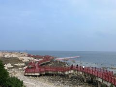 -养马岛旅游度假区