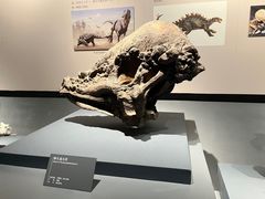 -自贡恐龙博物馆