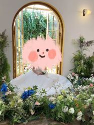 -玫瑰星座婚纱摄影轻奢定制(双井店)