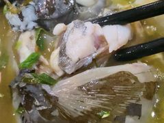 -马村鱼头