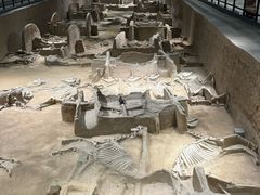 -洛阳周王城天子驾六博物馆