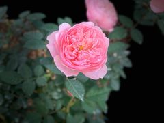 -人民公园(罗湖区)