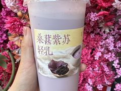 -长春堂顺时而饮(前门店)