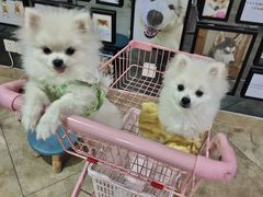 -汪说·狗咖(旺城大厦店)