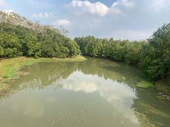 -上海海湾国家森林公园