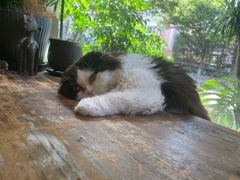 -花到家(富贵鸟花艺行)