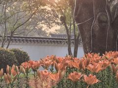 -无锡梅园公园