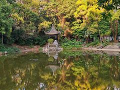 -深圳国际园林花卉博览园