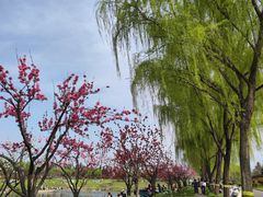 -洨河生态公园