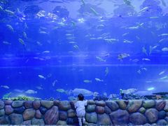 -华夏文旅海洋公园