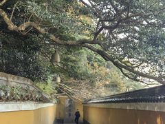 -普陀山慧济禅寺