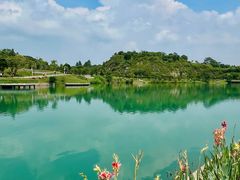 -水濂山森林公园
