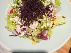 -森味薪火烧•烧鸟居酒屋•日本料理(望京店)