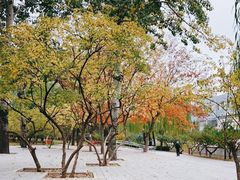 -元大都城垣遗址公园