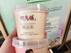 -大鸭梨烤鸭(望京店)