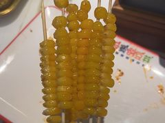 -寂寞的豆芽 蒙古原切大串(金宇店)