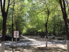 -呀路古热带植物园