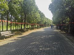 -上海海湾国家森林公园