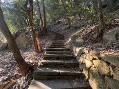 -杭州半山国家森林公园