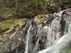 -莫里热带雨林景区