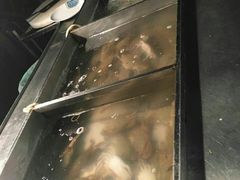 -渔家火锅·海鲜自助餐·演艺(亚龙湾天域酒店)