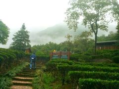 -玉石林风景区