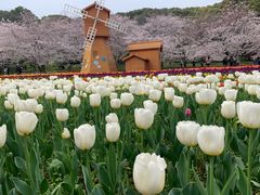 -苏州上方山国家森林公园