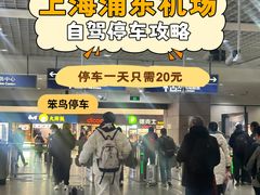 -上海浦东国际机场T1航站楼-P1停车场