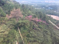 -黄腾峡天门悬廊
