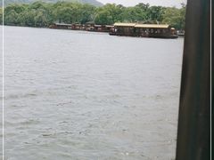 -西湖外事游船(花港观鱼码头)