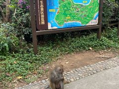 -南湾猴岛+椰田古寨一日游